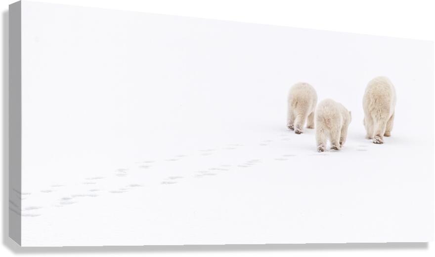 Snowwalkers Canvas Print