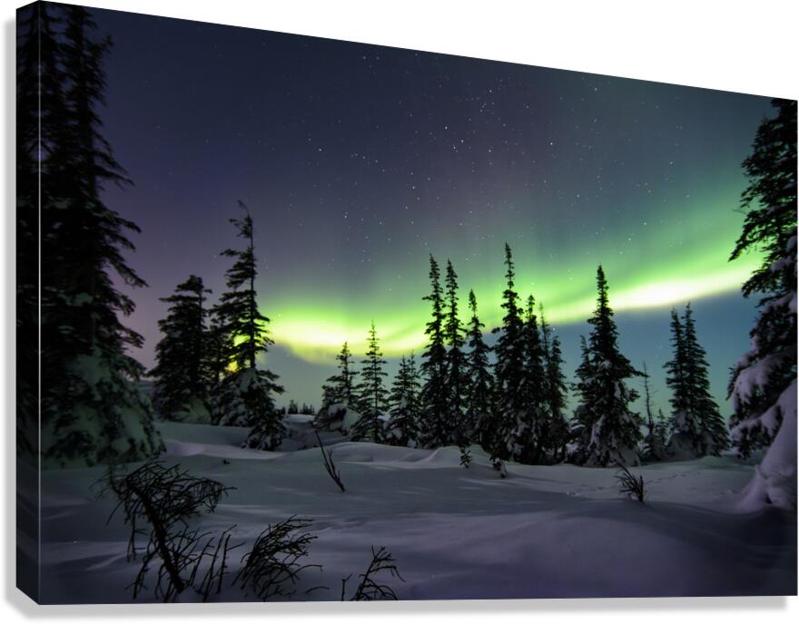 Dancing Skies beyond the Treeline 1 Canvas Print