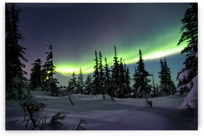 Dancing Skies beyond the Treeline 1 by Edward Savage