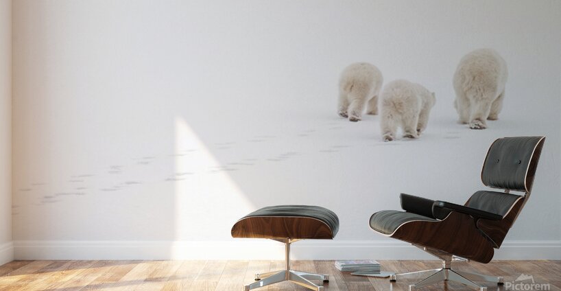 Snowwalkers Wall Murals