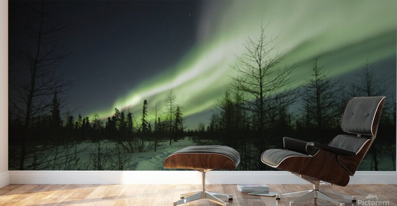 Illuminated by the Northern Lights Wall Murals