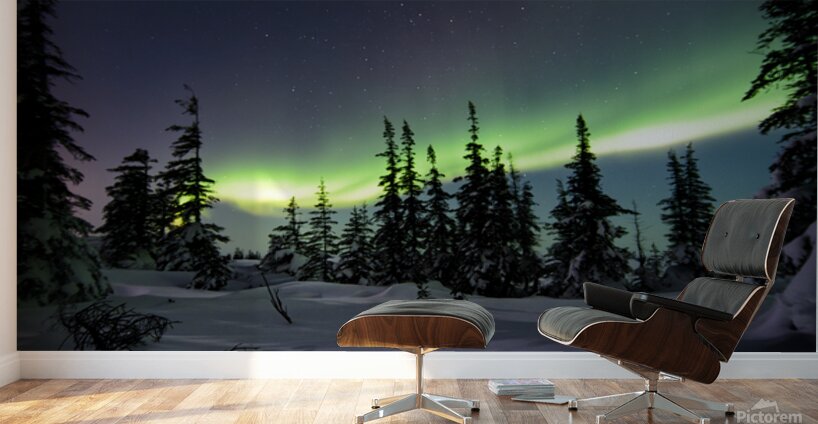 Dancing Skies beyond the Treeline 1 Wall Murals