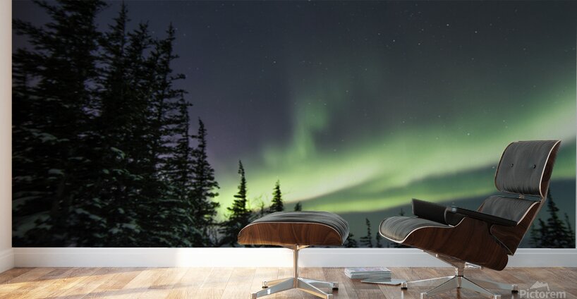 Dancing Skies beyond the Treeline 2 Wall Murals