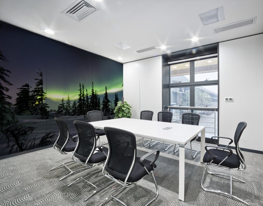 Dancing Skies beyond the Treeline 1 Wall Printing