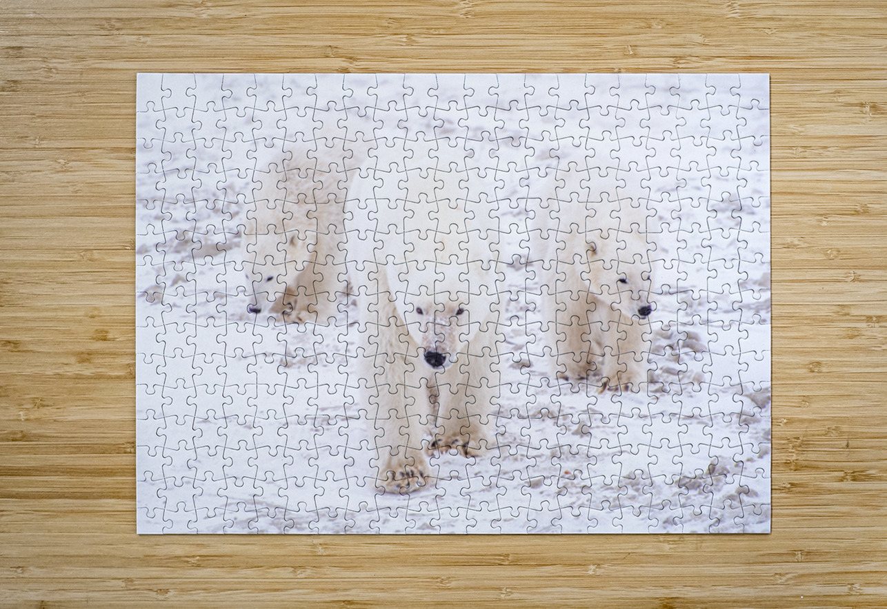 Stay By Her Side Edward Savage Puzzle printing