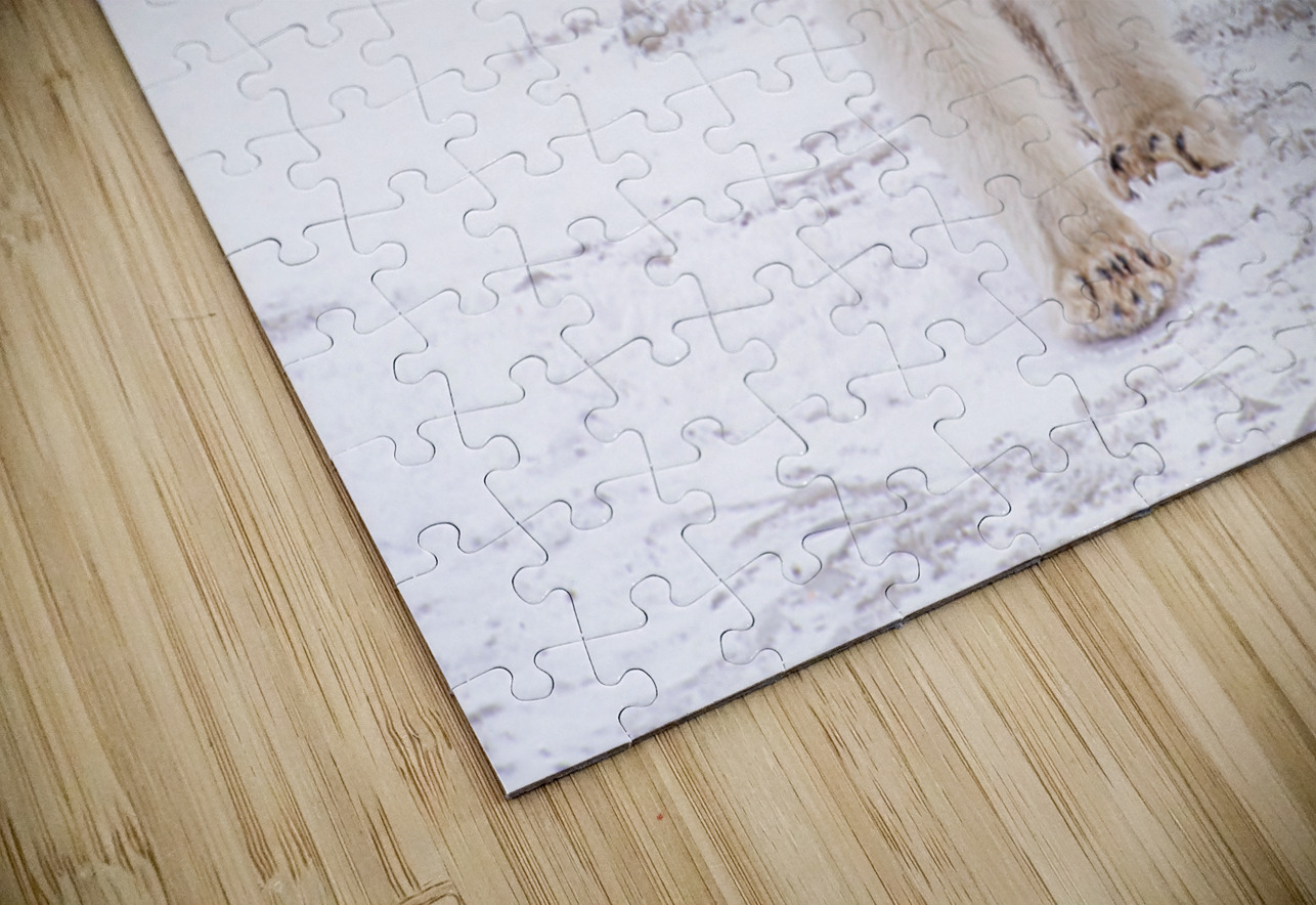 Stay By Her Side Edward Savage Puzzle