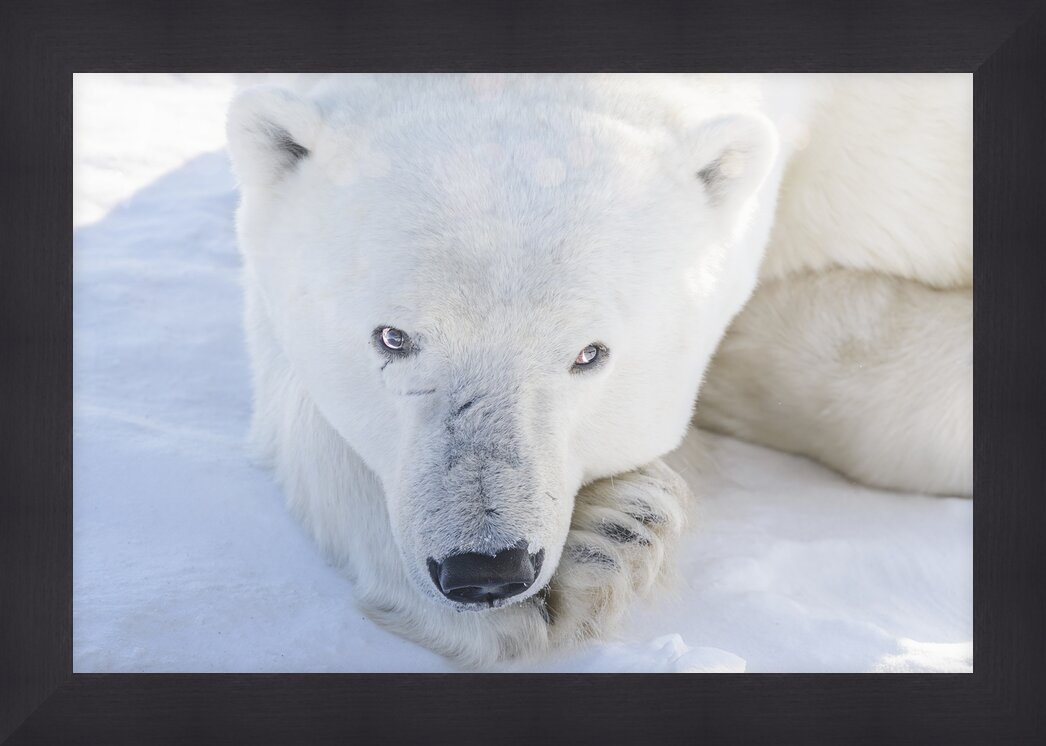 Impression de cadre personnalisé