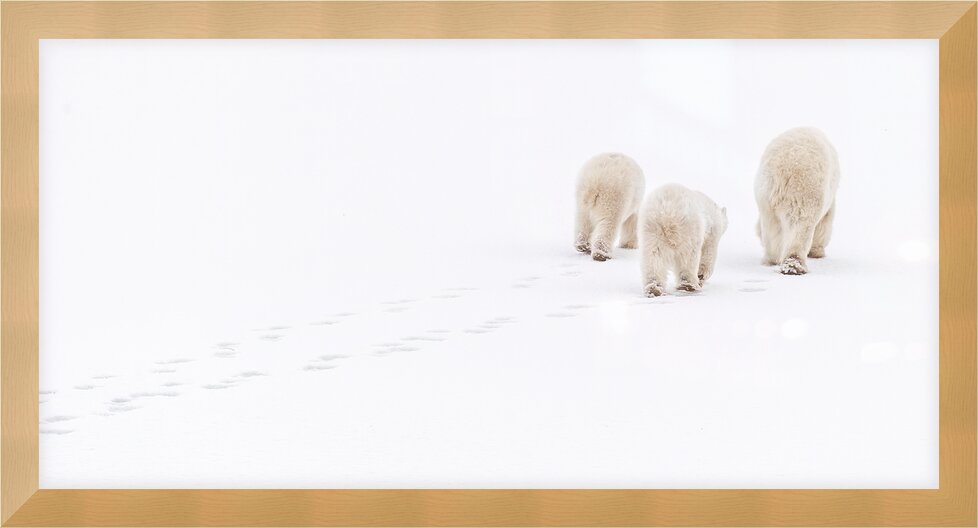 Impression de cadre personnalisé