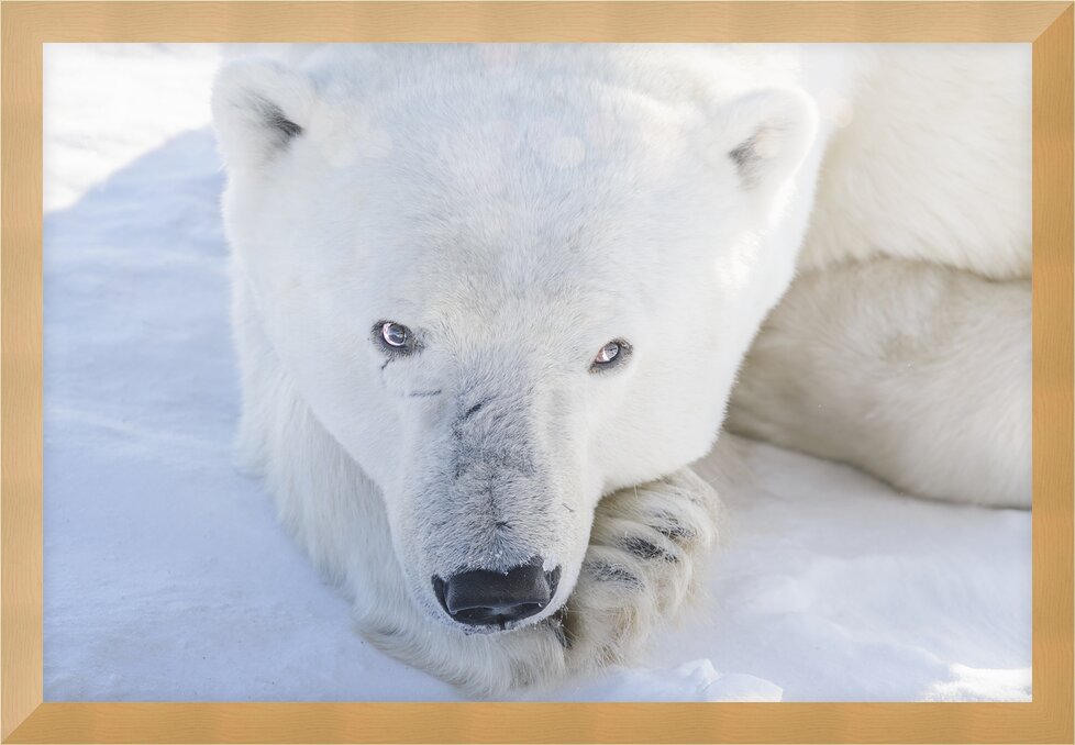 Impression de cadre personnalisé