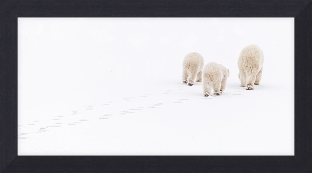 Impression de cadre personnalisé
