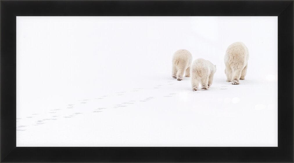 Impression de cadre personnalisé