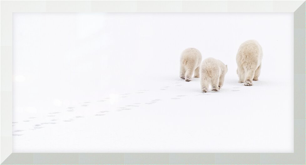 Impression de cadre personnalisé