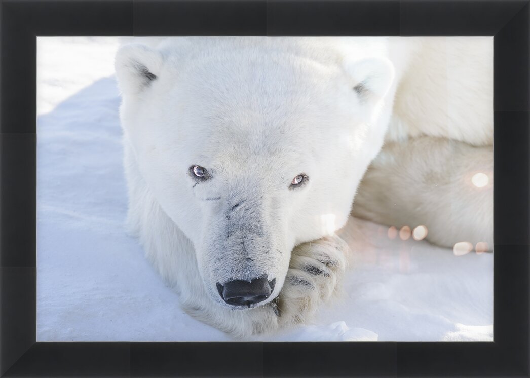 Impression de cadre personnalisé