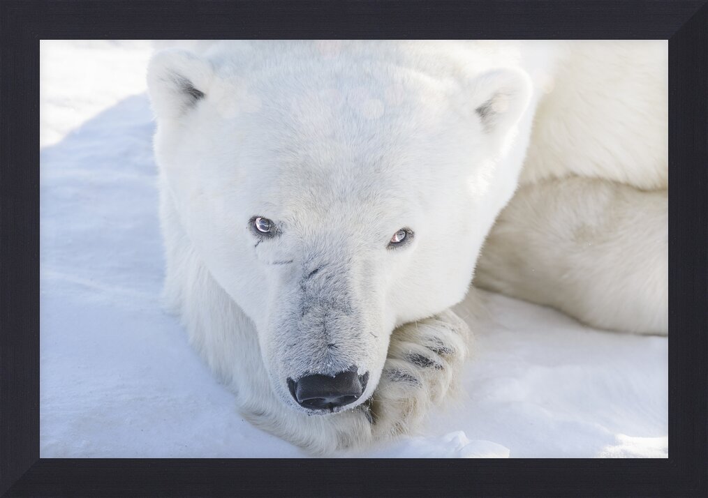 Impression de cadre personnalisé