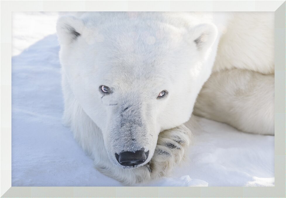 Impression de cadre personnalisé