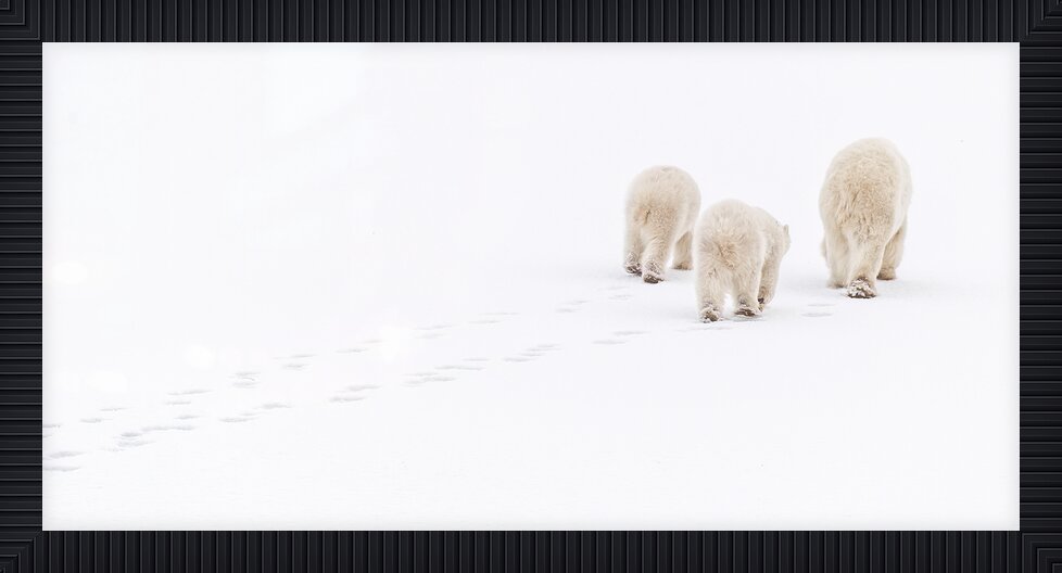 Impression de cadre personnalisé