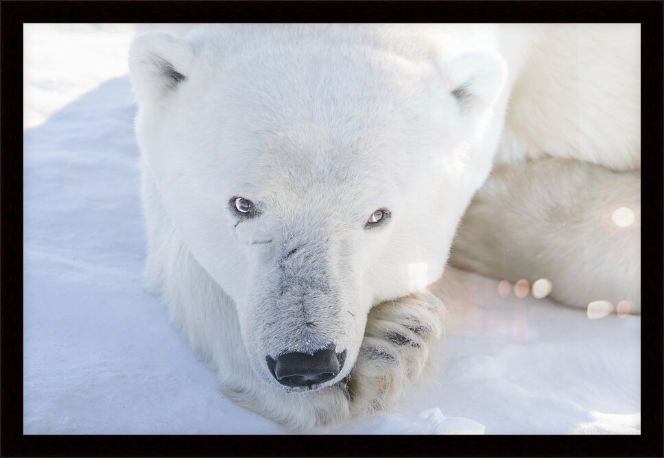Impression de cadre personnalisé