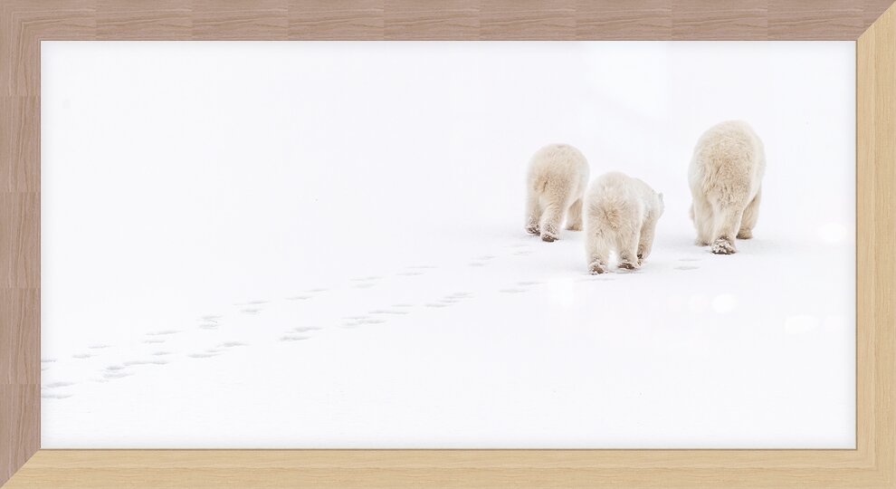 Impression de cadre personnalisé