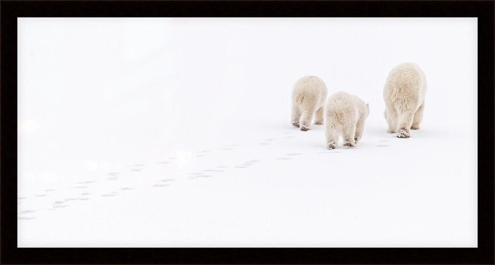 Impression de cadre personnalisé