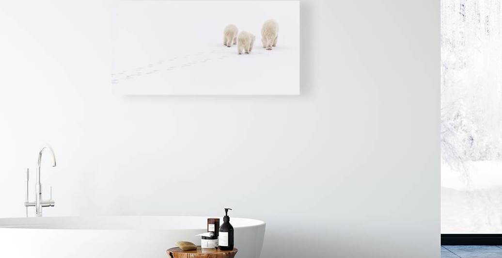 Snowwalkers by Edward Savage