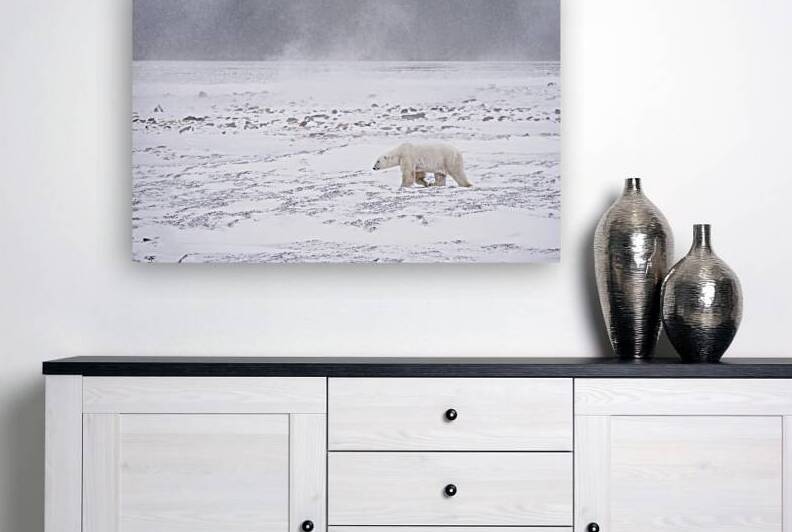 Storm Evader by Edward Savage